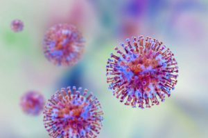 Hantavirus Alert in Namibia: What You Need to Know About the Respiratory Infection Linked to South Africa