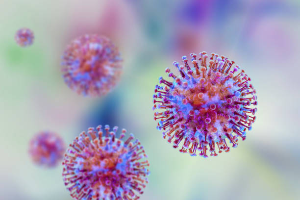 Hantavirus health alert in Namibia and South Africa